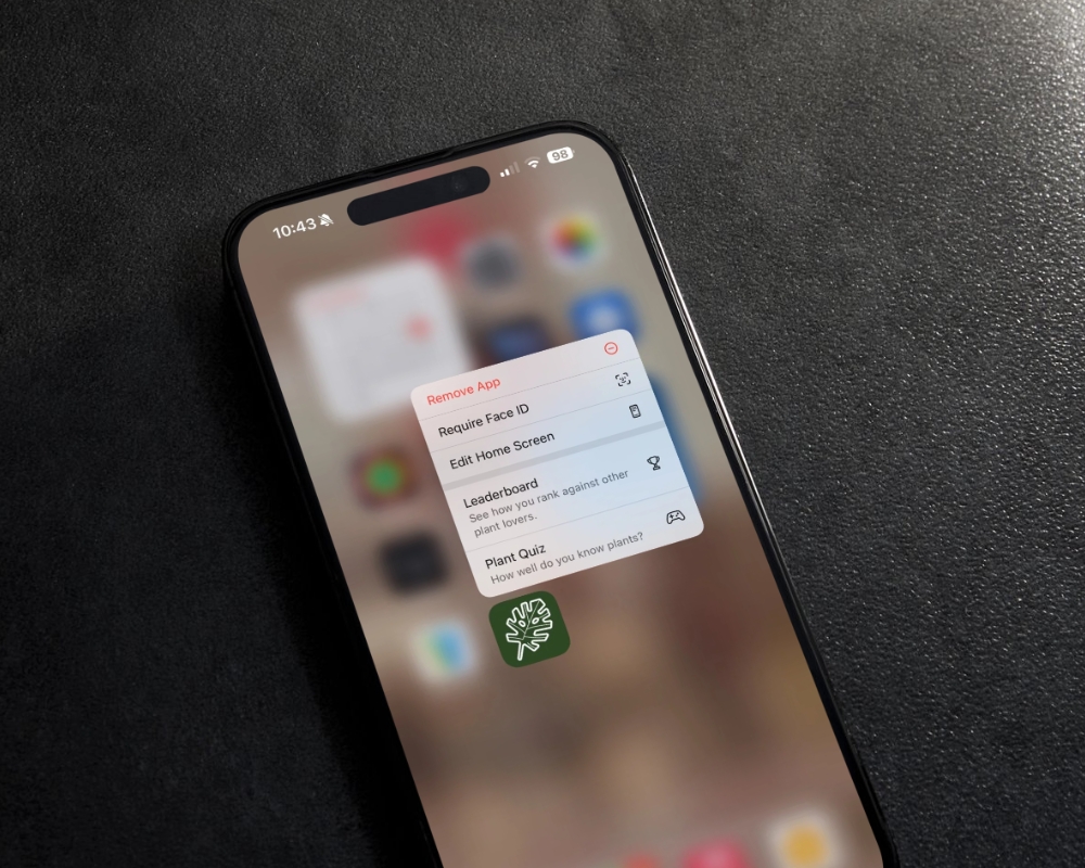 Card example background